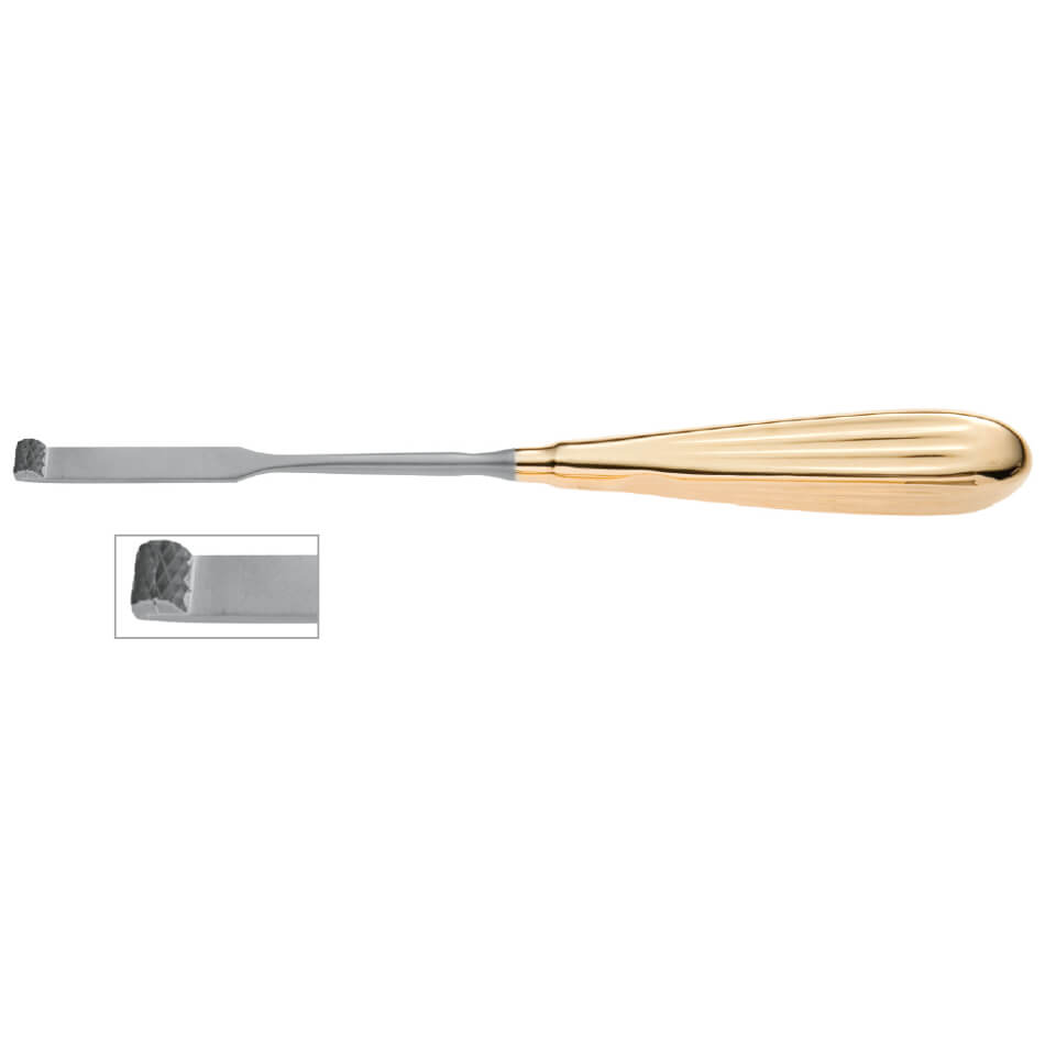 A Webster Glabella Onyx Rasp, 8-1/2″ (21.5cm), Coarse, Push/Pull with a gold-colored handle and a flat, silver-colored blade is shown. An inset image displays a close-up view of the rasp&